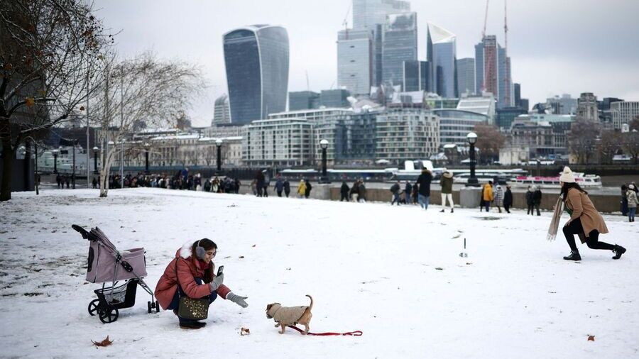 El invierno es momento de analizar el mercado Ciudad nevada con gente y perro jugando